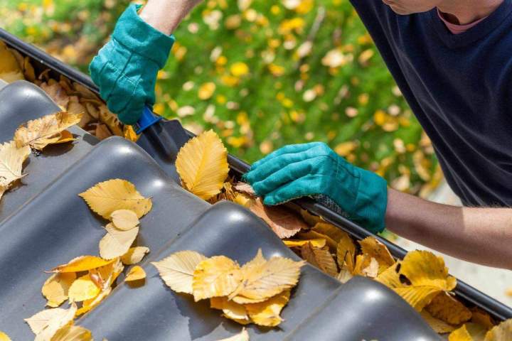 Gutter Cleaning South Shore